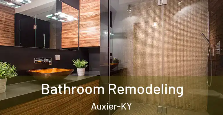 inner Bathroom imggen Bathroom Remodeling Auxier-KY