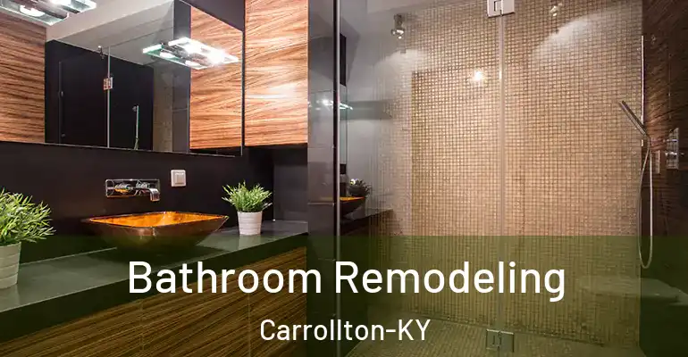 inner Bathroom imggen Bathroom Remodeling Carrollton-KY