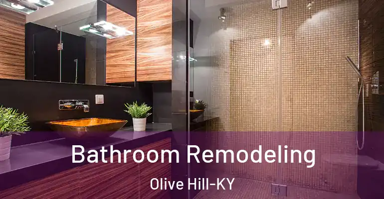 inner Bathroom imggen Bathroom Remodeling Olive Hill-KY