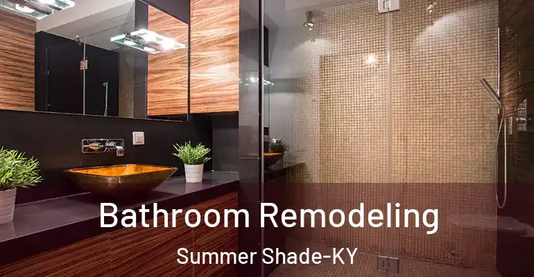 inner Bathroom imggen Bathroom Remodeling Summer Shade-KY