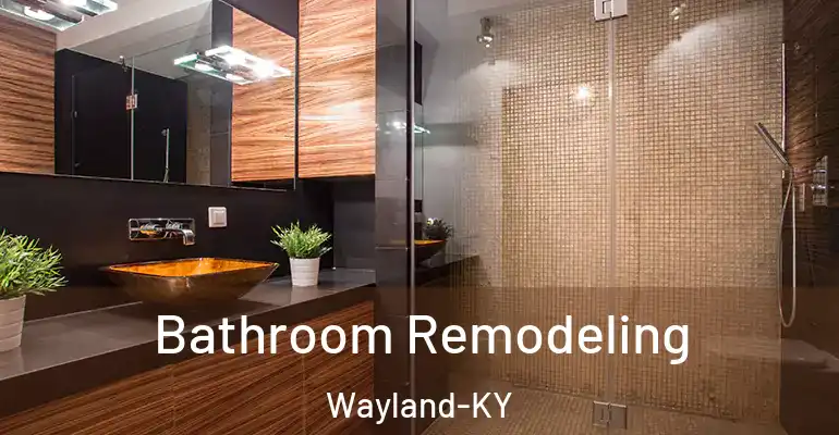 inner Bathroom imggen Bathroom Remodeling Wayland-KY