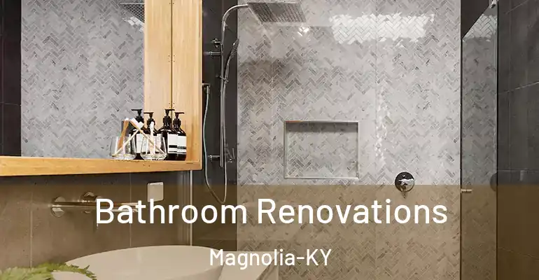 inner Bathroom imggen Bathroom Renovations Magnolia-KY