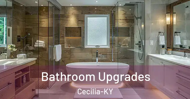 inner Bathroom imggen Bathroom Upgrades Cecilia-KY