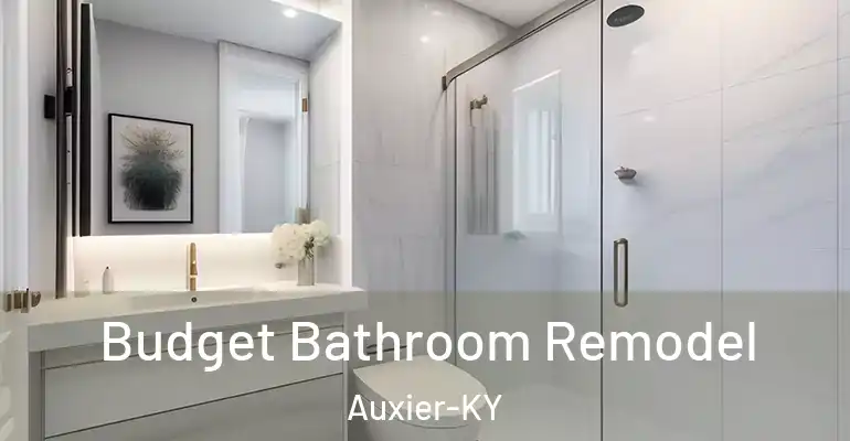 inner Bathroom imggen Budget Bathroom Remodel Auxier-KY