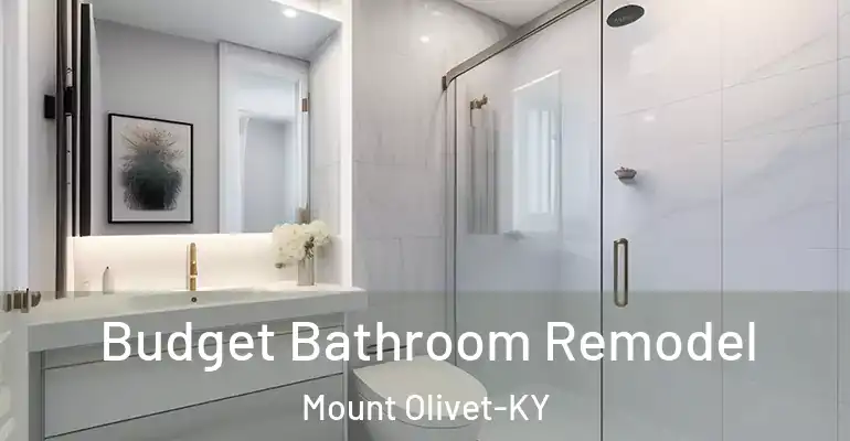 inner Bathroom imggen Budget Bathroom Remodel Mount Olivet-KY