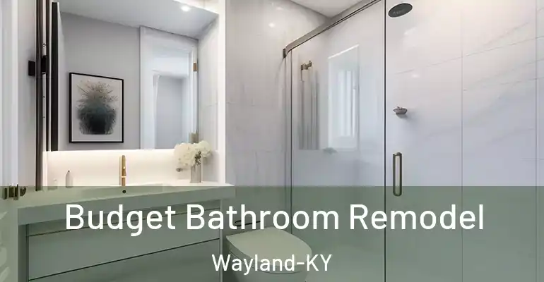 inner Bathroom imggen Budget Bathroom Remodel Wayland-KY