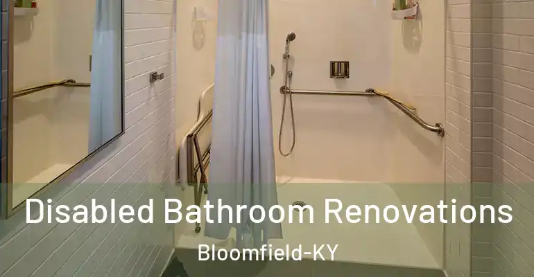 inner Bathroom imggen Disabled Bathroom Renovations Bloomfield-KY