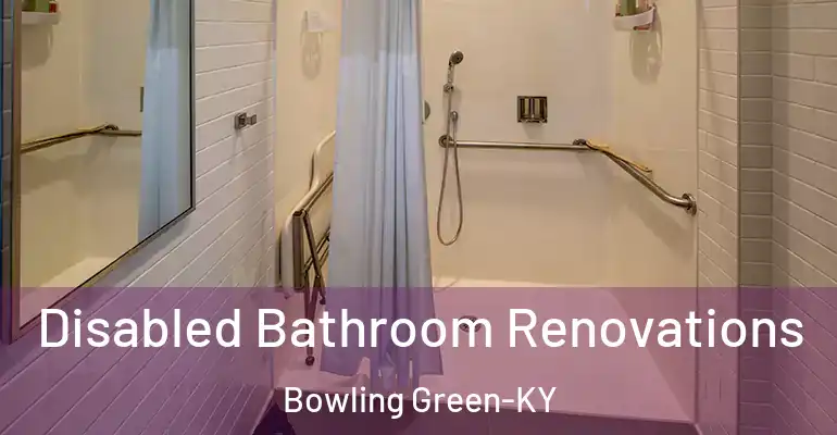 inner Bathroom imggen Disabled Bathroom Renovations Bowling Green-KY
