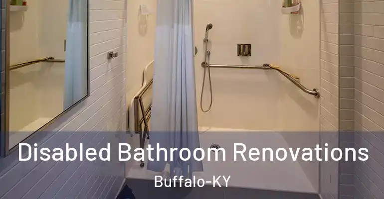 inner Bathroom imggen Disabled Bathroom Renovations Buffalo-KY