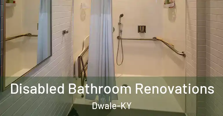 inner Bathroom imggen Disabled Bathroom Renovations Dwale-KY