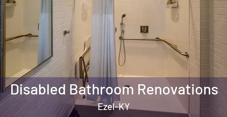 inner Bathroom imggen Disabled Bathroom Renovations Ezel-KY
