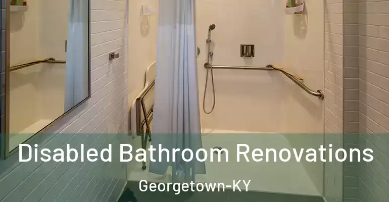 inner Bathroom imggen Disabled Bathroom Renovations Georgetown-KY
