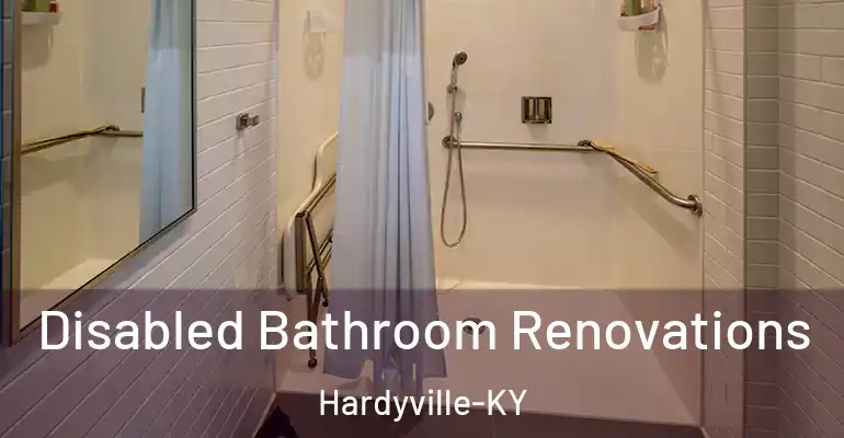 inner Bathroom imggen Disabled Bathroom Renovations Hardyville-KY