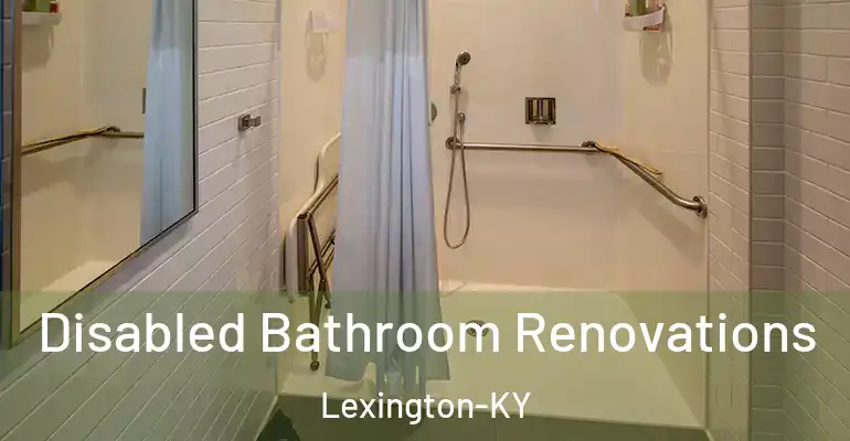 inner Bathroom imggen Disabled Bathroom Renovations Lexington-KY