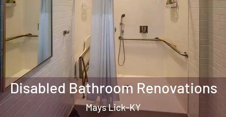 inner Bathroom imggen Disabled Bathroom Renovations Mays Lick-KY