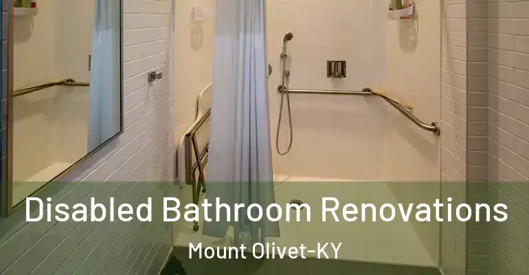 inner Bathroom imggen Disabled Bathroom Renovations Mount Olivet-KY