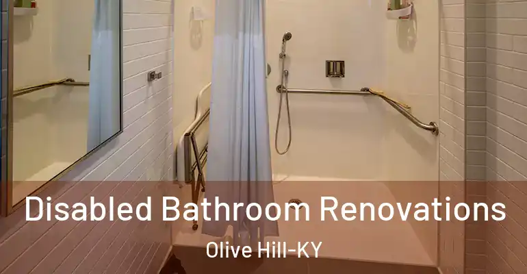 inner Bathroom imggen Disabled Bathroom Renovations Olive Hill-KY