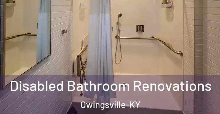 inner Bathroom imggen Disabled Bathroom Renovations Owingsville-KY