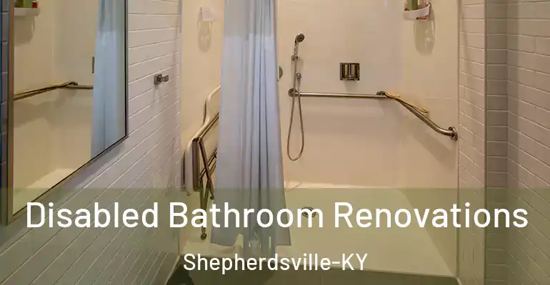 inner Bathroom imggen Disabled Bathroom Renovations Shepherdsville-KY