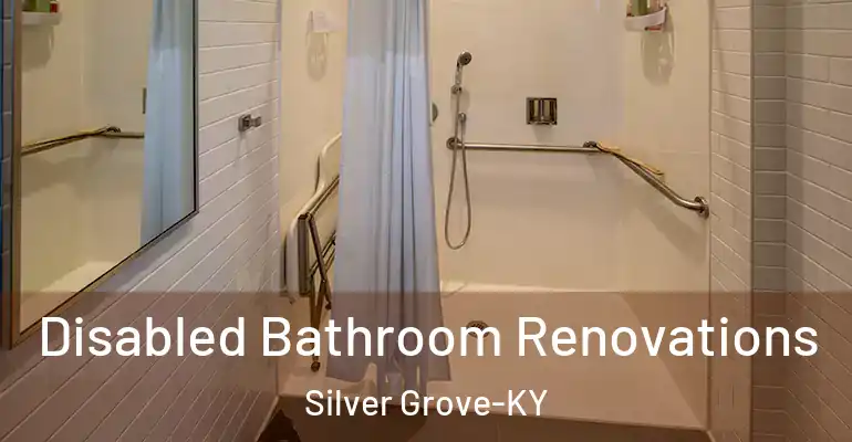 inner Bathroom imggen Disabled Bathroom Renovations Silver Grove-KY
