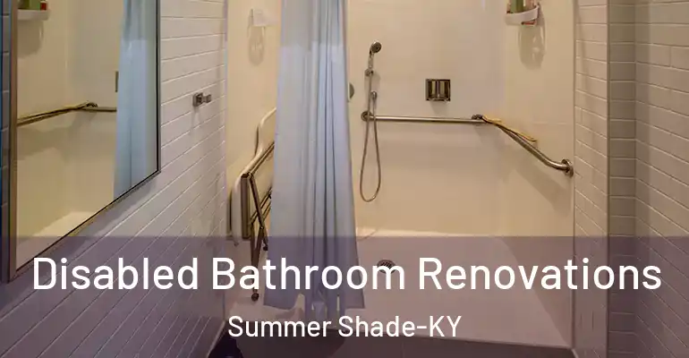 inner Bathroom imggen Disabled Bathroom Renovations Summer Shade-KY