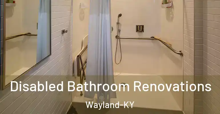 inner Bathroom imggen Disabled Bathroom Renovations Wayland-KY