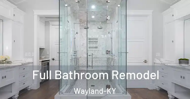 inner Bathroom imggen Full Bathroom Remodel Wayland-KY