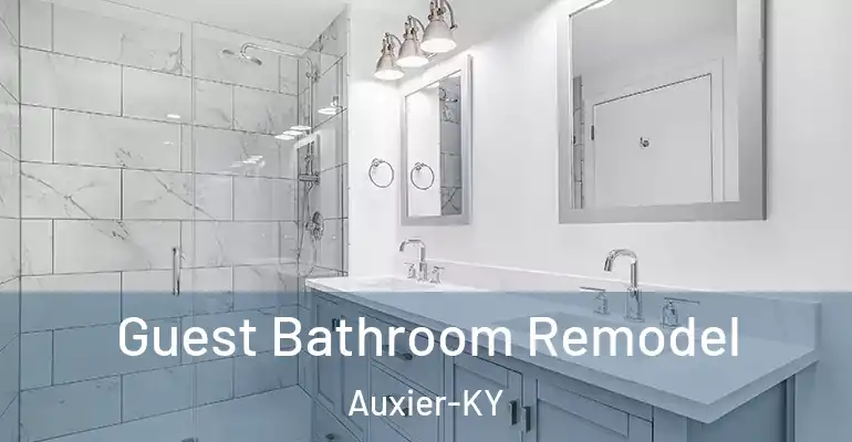 inner Bathroom imggen Guest Bathroom Remodel Auxier-KY