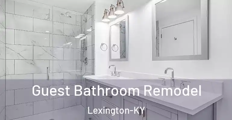 inner Bathroom imggen Guest Bathroom Remodel Lexington-KY