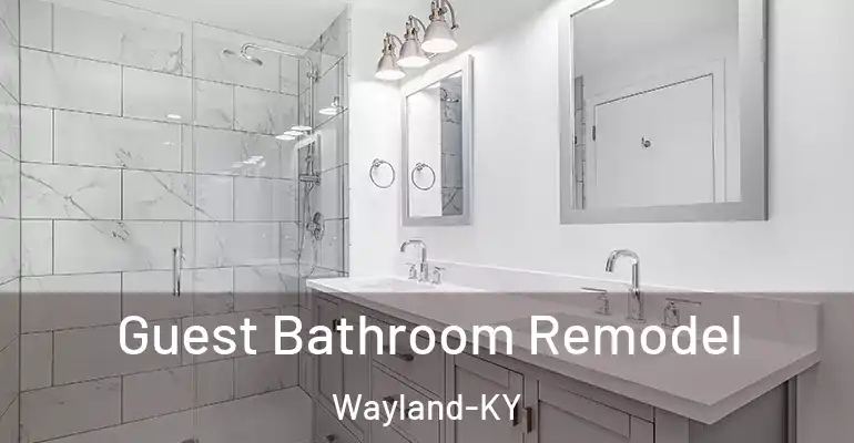 inner Bathroom imggen Guest Bathroom Remodel Wayland-KY