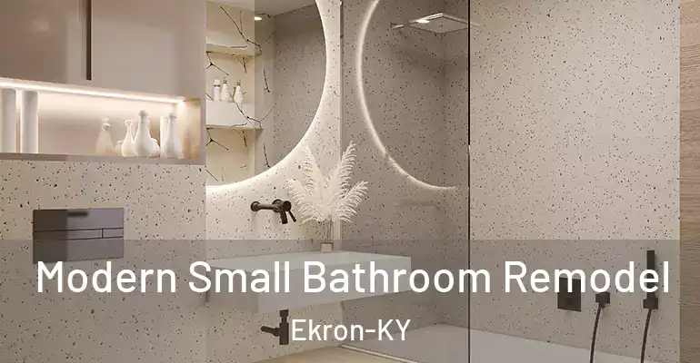 inner Bathroom imggen Modern Small Bathroom Remodel Ekron-KY