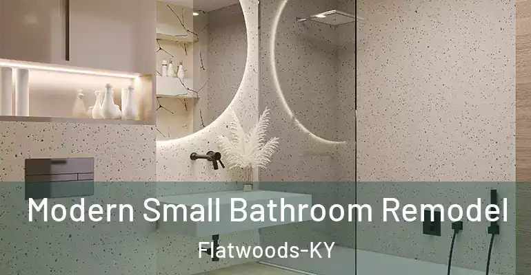 inner Bathroom imggen Modern Small Bathroom Remodel Flatwoods-KY
