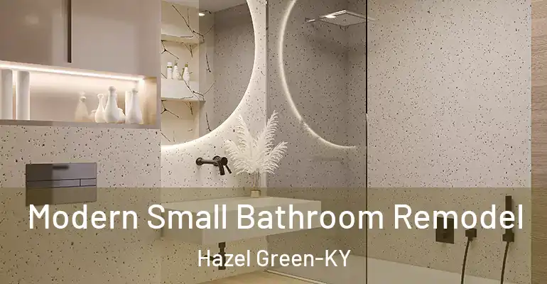 inner Bathroom imggen Modern Small Bathroom Remodel Hazel Green-KY