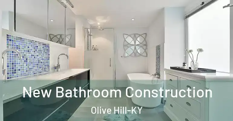 inner Bathroom imggen New Bathroom Construction Olive Hill-KY