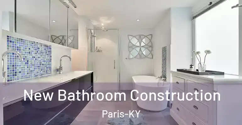 inner Bathroom imggen New Bathroom Construction Paris-KY