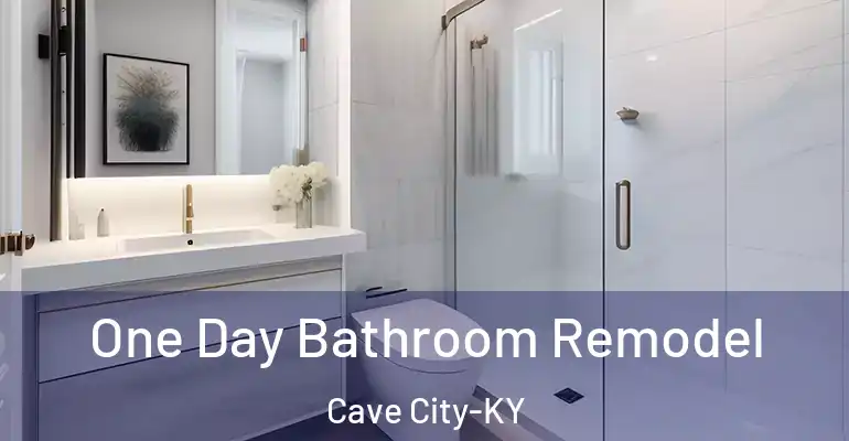 inner Bathroom imggen One Day Bathroom Remodel Cave City-KY