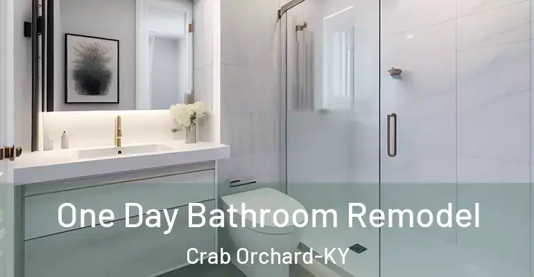 inner Bathroom imggen One Day Bathroom Remodel Crab Orchard-KY