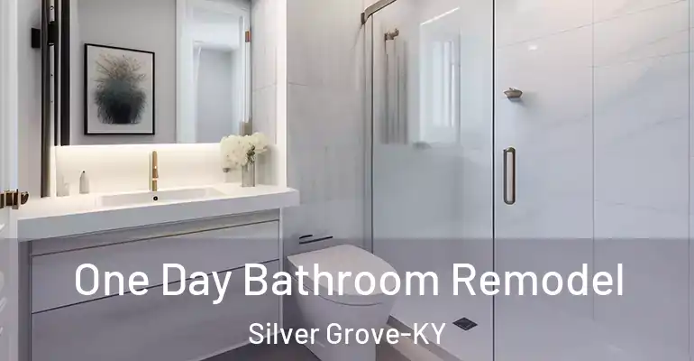 inner Bathroom imggen One Day Bathroom Remodel Silver Grove-KY