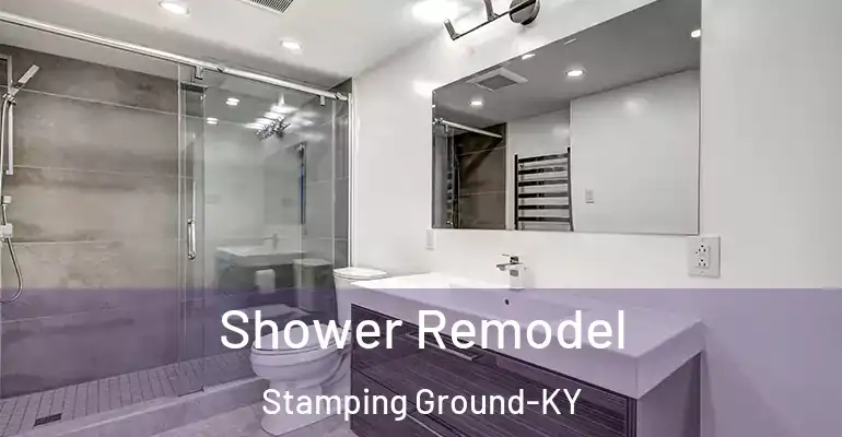 inner Bathroom imggen Shower Remodel Stamping Ground-KY