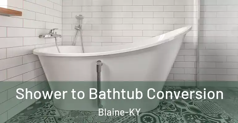 inner Bathroom imggen Shower to Bathtub Conversion Blaine-KY