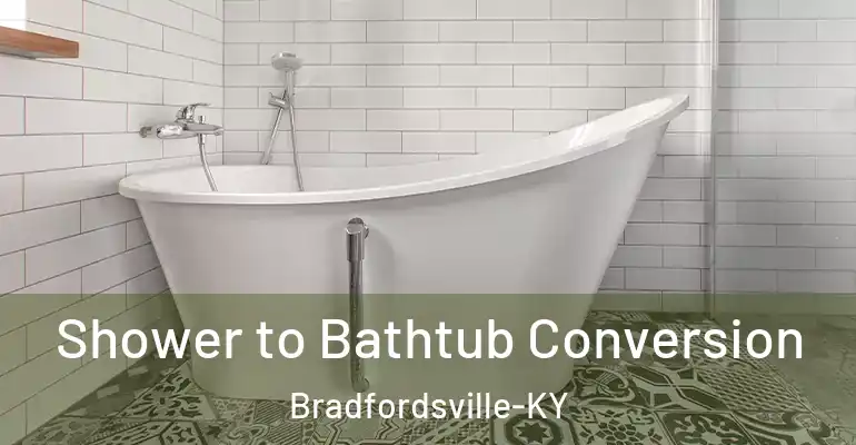 inner Bathroom imggen Shower to Bathtub Conversion Bradfordsville-KY