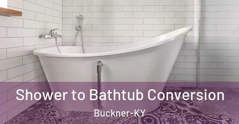 inner Bathroom imggen Shower to Bathtub Conversion Buckner-KY
