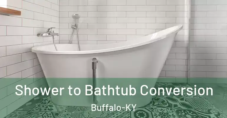 inner Bathroom imggen Shower to Bathtub Conversion Buffalo-KY