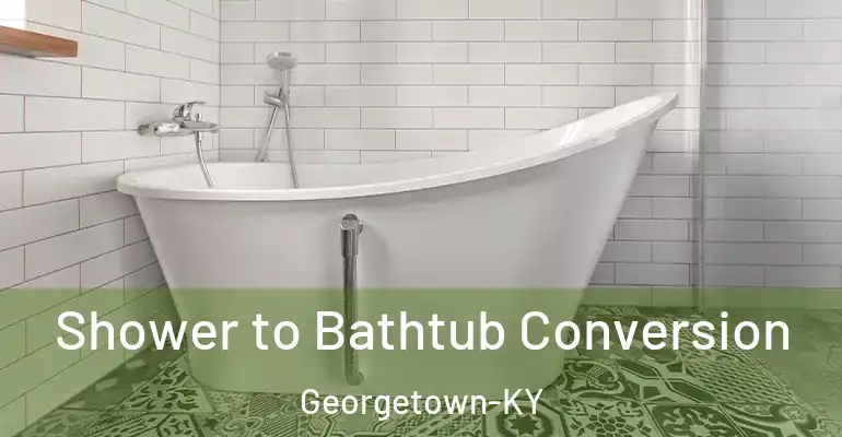 inner Bathroom imggen Shower to Bathtub Conversion Georgetown-KY