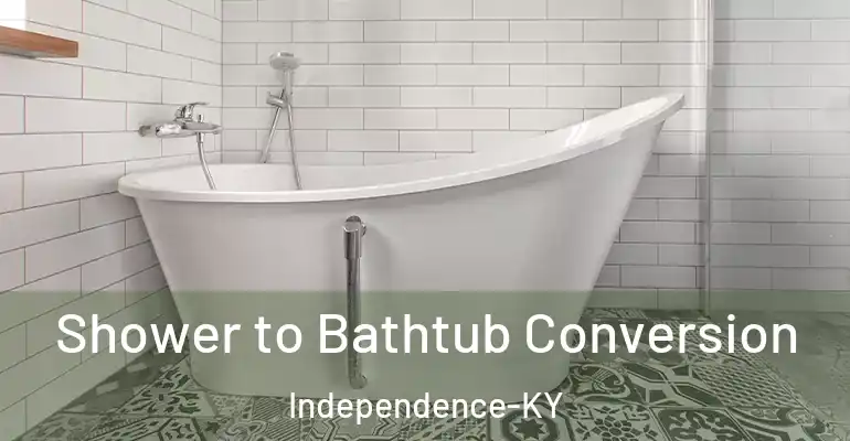 inner Bathroom imggen Shower to Bathtub Conversion Independence-KY