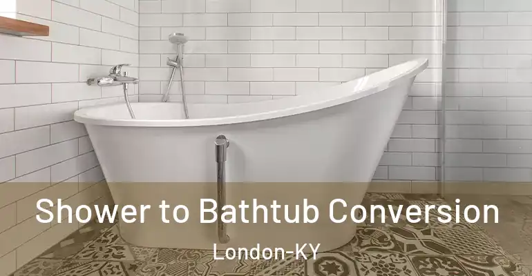 inner Bathroom imggen Shower to Bathtub Conversion London-KY