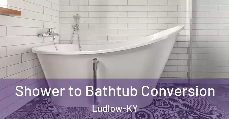 inner Bathroom imggen Shower to Bathtub Conversion Ludlow-KY