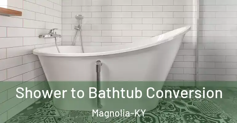 inner Bathroom imggen Shower to Bathtub Conversion Magnolia-KY