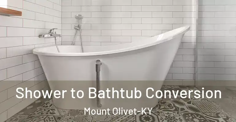 inner Bathroom imggen Shower to Bathtub Conversion Mount Olivet-KY