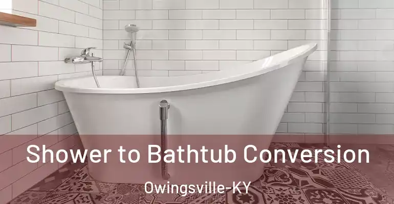 inner Bathroom imggen Shower to Bathtub Conversion Owingsville-KY